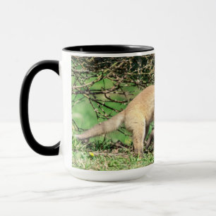 Red Fox Kits Playing Tasse