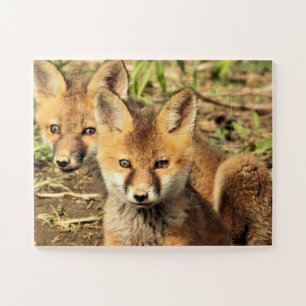 Red Fox Kits Puzzle