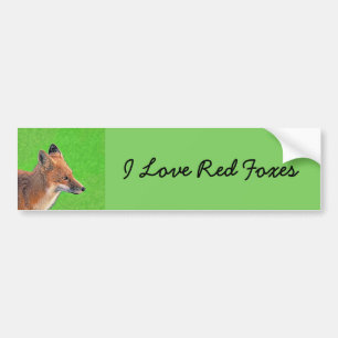 Red Fox Malerei - Original Wildlife Art Autoaufkleber