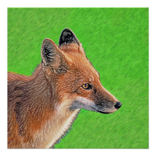 Red Fox Malerei - Original Wildlife Art Poster