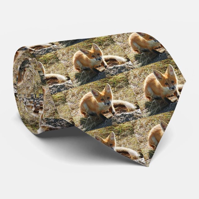 Red Fox Men-Krawatte Krawatte (Gerollt)