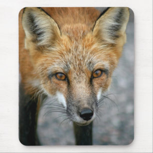 Red Fox Mouse Pad Mousepad