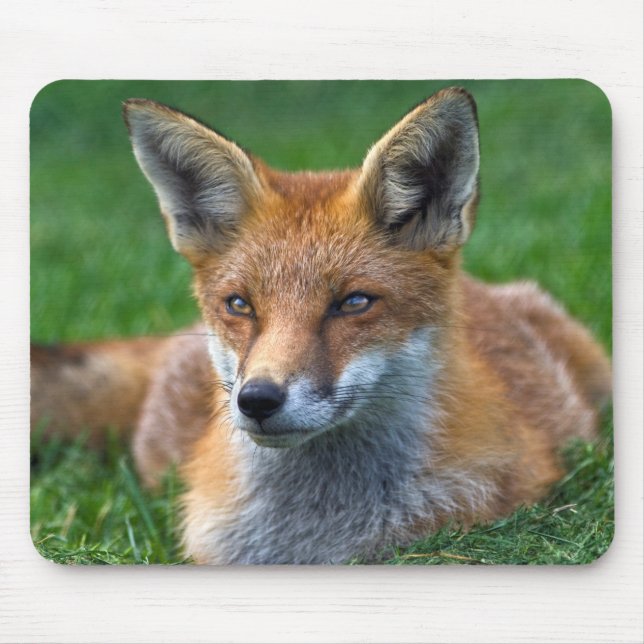 Red Fox Mousemat Mousepad (Vorne)
