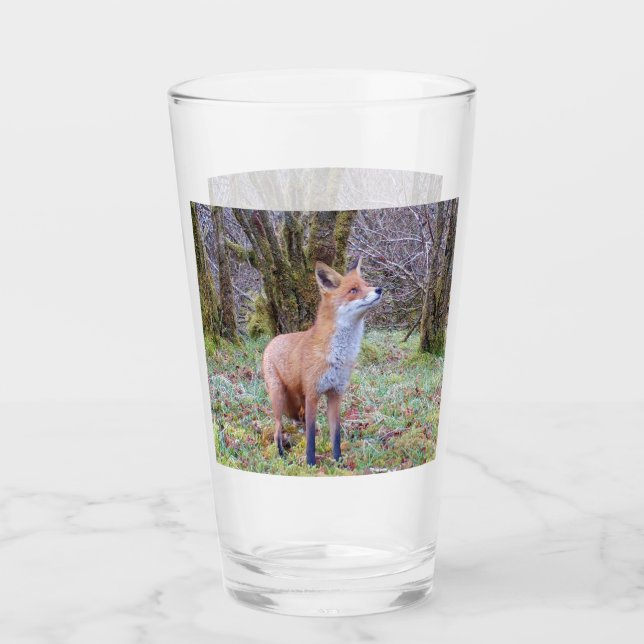 Red Fox nach oben Glas (Vorderseite)