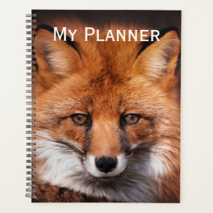 Red Fox Planer