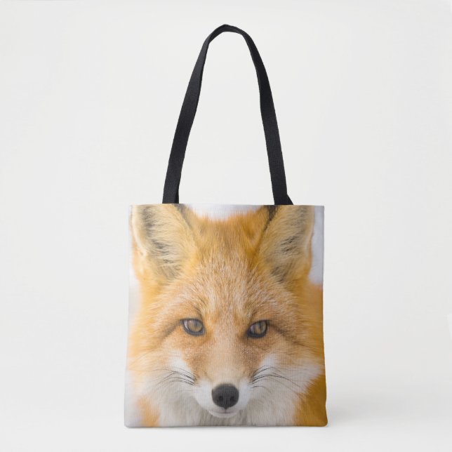 Red Fox Portrait (Vorderseite)