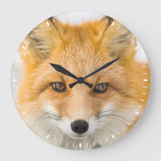Red Fox Portrait Große Wanduhr (Vorderseite)