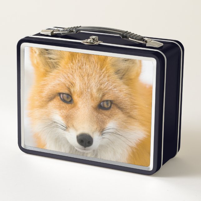Red Fox Portrait Metall Brotdose (Vorderseite)
