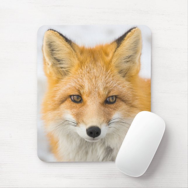 Red Fox Portrait Mousepad (Mit Mouse)