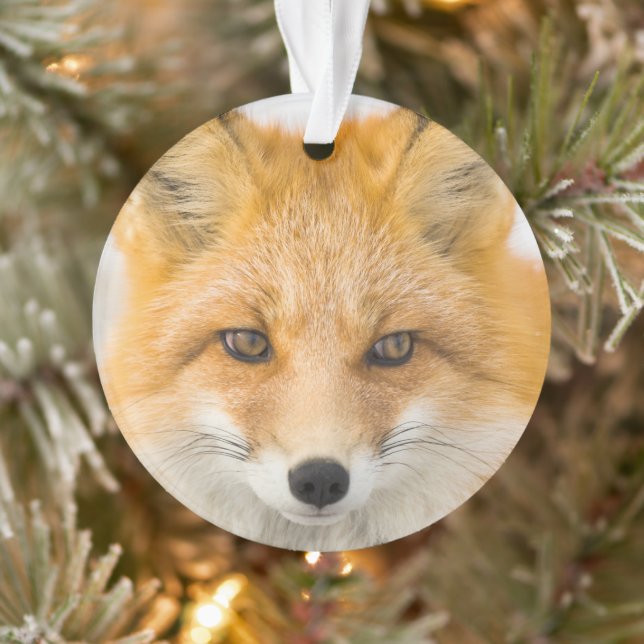 Red Fox Portrait Ornament (Baum)