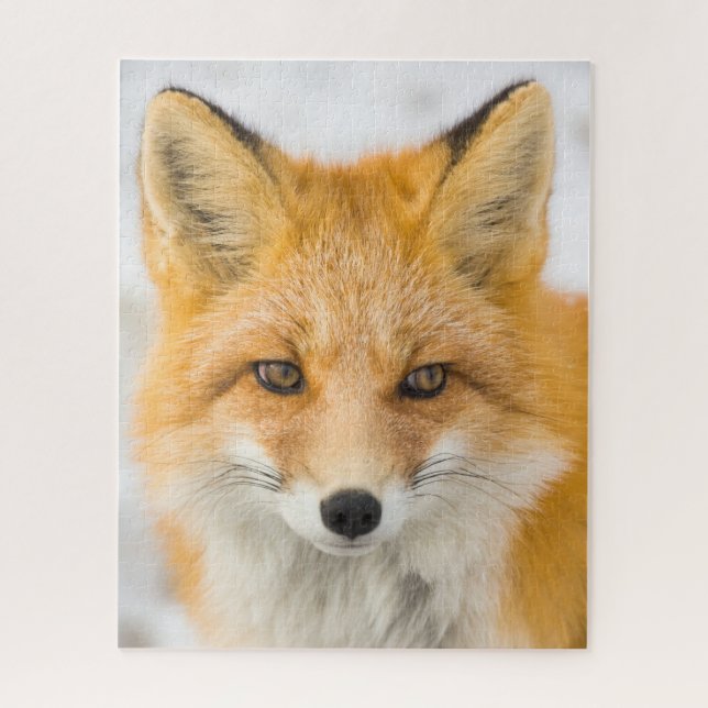 Red Fox Portrait Puzzle (Vertikal)