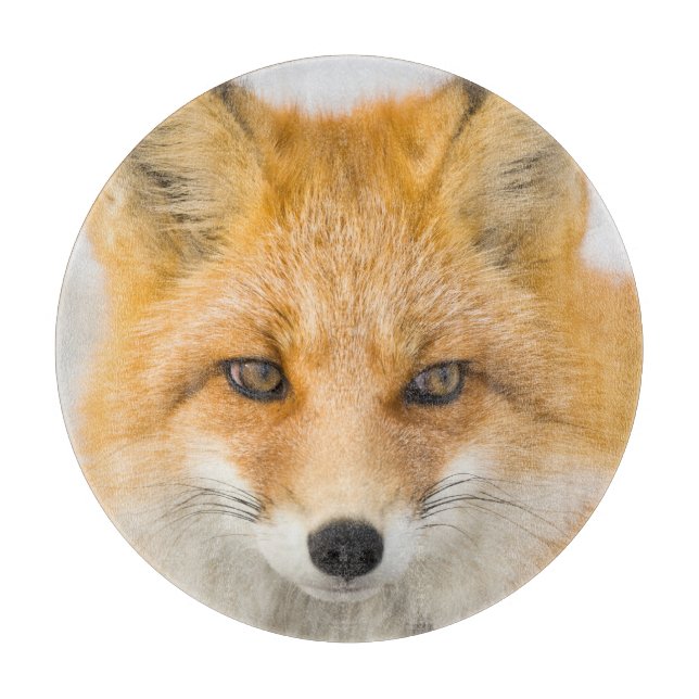 Red Fox Portrait Schneidebrett (Vorderseite)