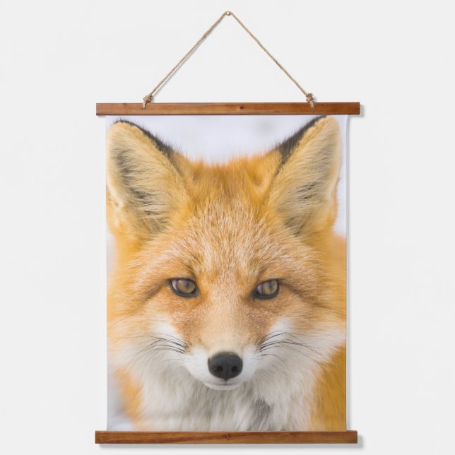 Red Fox Portrait Wandteppich Mit Holzrahmen (Vorderseite)