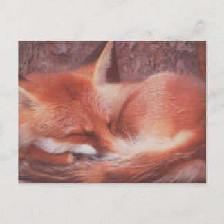 Red Fox POSTCARD Postkarte