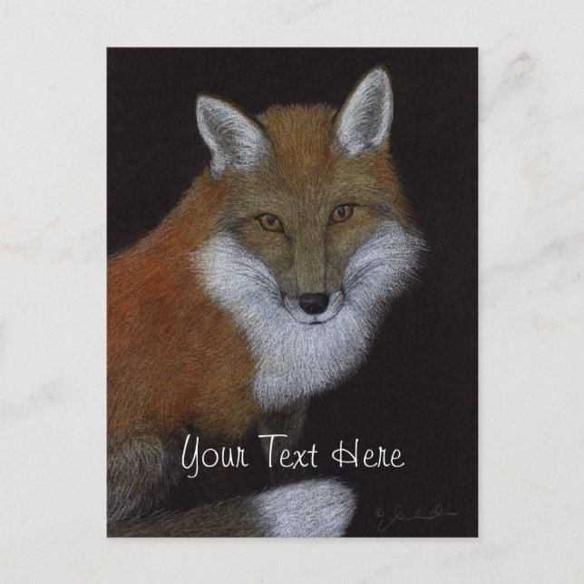 Red Fox Postkarte (Vorderseite)