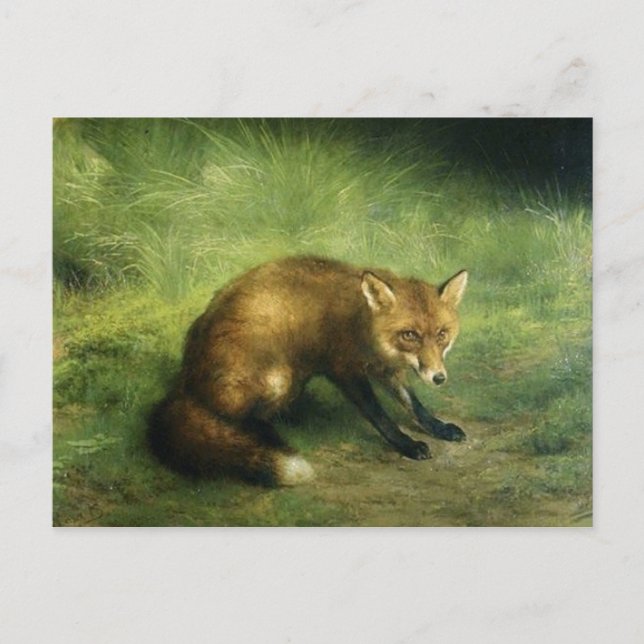 Red Fox Postkarte (Vorderseite)