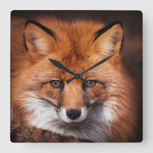 Red Fox Quadratische Wanduhr