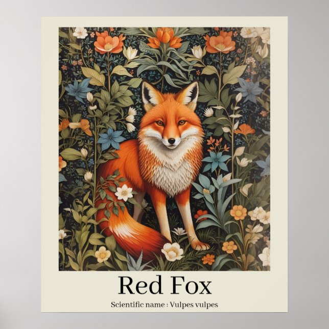 Red Fox Scientific Name Wildlife Poster (Vorne)