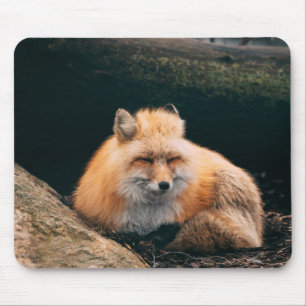 Red Fox Sleeping Mousepad
