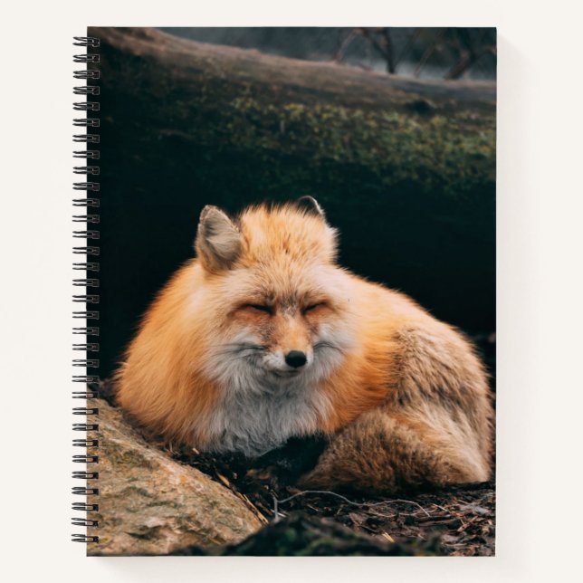 Red Fox Sleeping Notizbuch (Vorderseite)