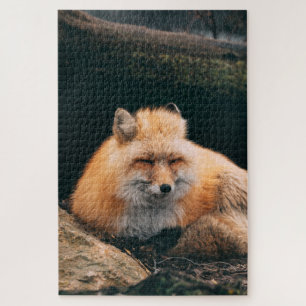 Red Fox Sleeping Puzzle