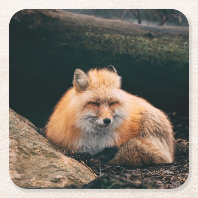 Red Fox Sleeping Rechteckiger Pappuntersetzer (Vorderseite)