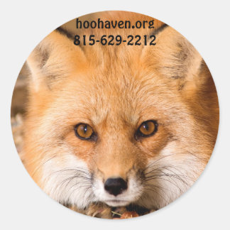 Red Fox Stickers