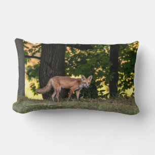 Red Fox Sun und Shade Lendenkissen