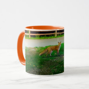 Red Fox Tasse