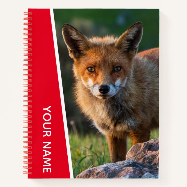 Red Fox Wildlife Animal Australia Notebook Notizbuch (Vorderseite)