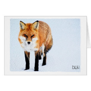 Red Fox/Wildlife Art/Aquarellbild