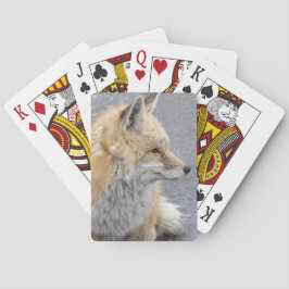 Red Fox Wildlife Foto Spielkarten