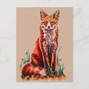 Red Fox Zeichnend Tier Art Stift Foxy Postkarte