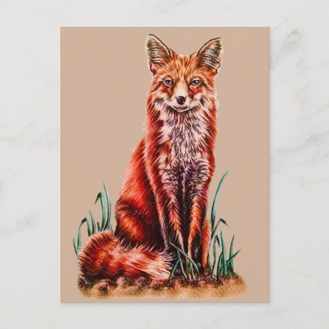 Red Fox Zeichnend Tier Art Stift Foxy Postkarte (Vorderseite)