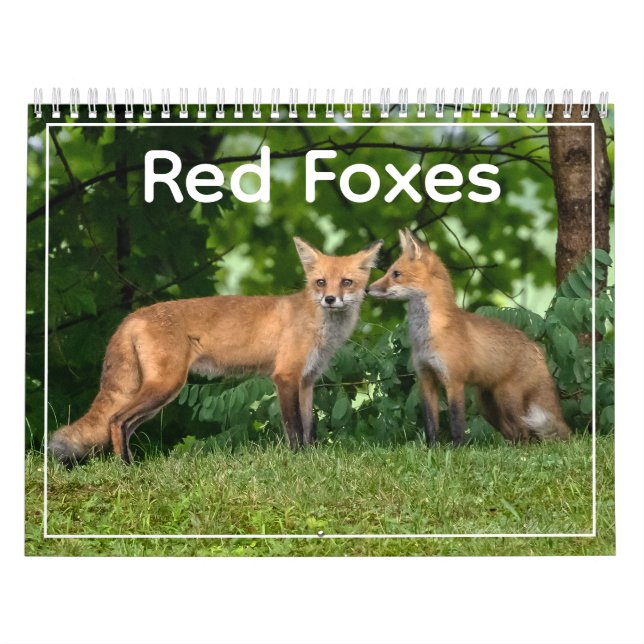 Red Foxes Calendar Kalender (Titelbild)