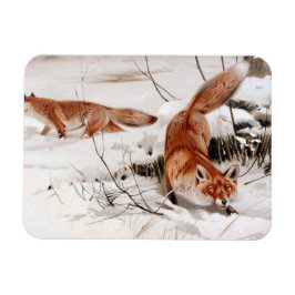Red Foxes in the Winter Snow (by Wilhelm Kuhnert) Magnet