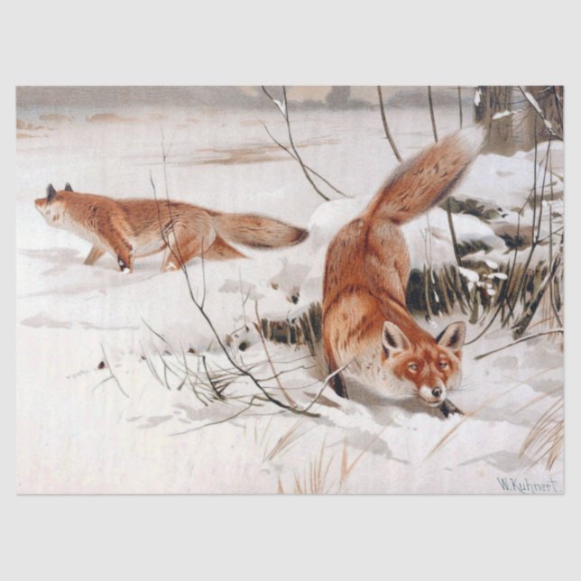 Red Foxes in the Winter Snow (by Wilhelm Kuhnert) Seidenpapier (Vorderseite)