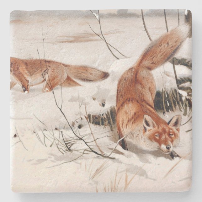 Red Foxes in the Winter Snow (by Wilhelm Kuhnert) Steinuntersetzer (Vorderseite)