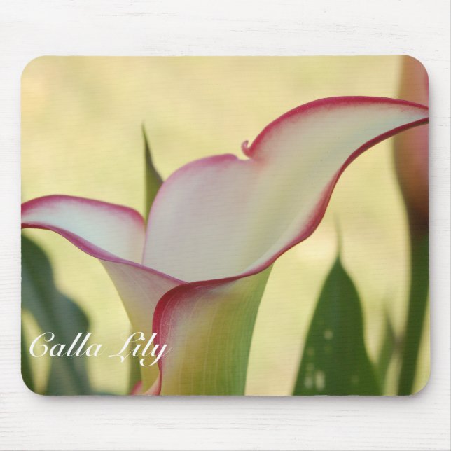 Red Fringe Calla Lily Mousepad (Vorne)