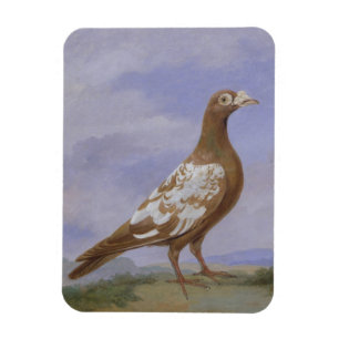 Red Fuss Carrier Pigeon Magnet