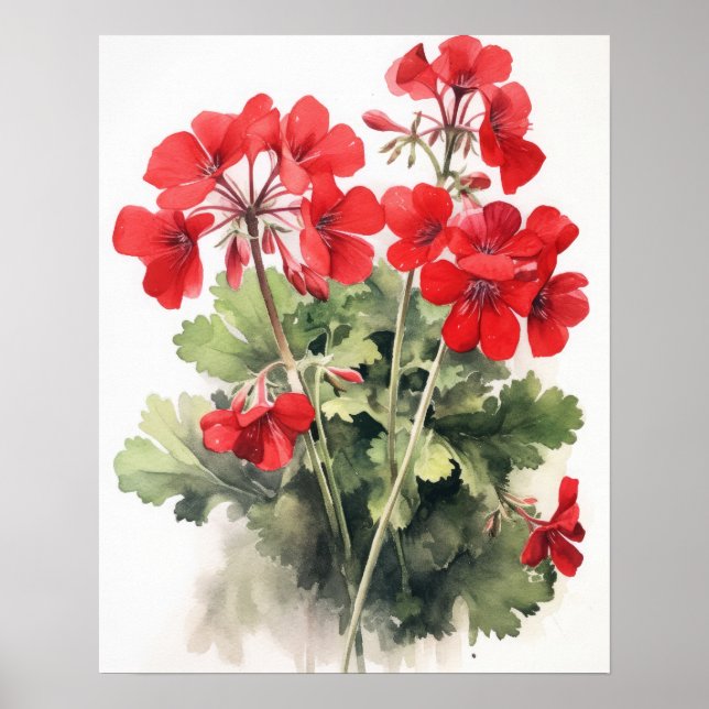 Red Geranium Blume Art Print Poster (Vorne)