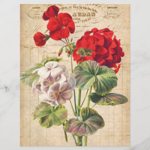Red Geranium Collage Scrapbook Paper
