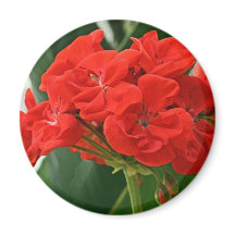 Red Geranium