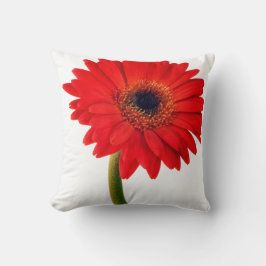 Red Gerber Daisy Blume Floral Daisies Blume Kissen