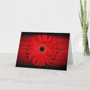 Red Gerber Daisy individuell einstellbare Blank In Karte