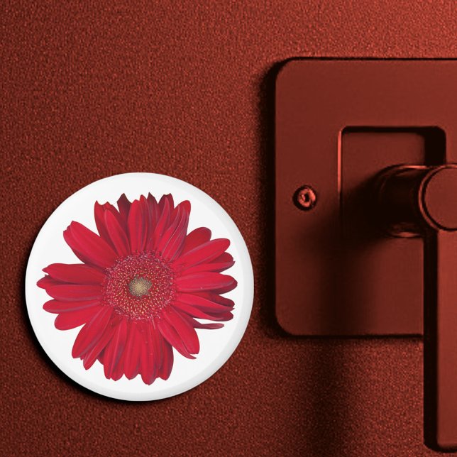 Red Gerber Daisy Nah Up Fotograf Magnet (3" round magnet)