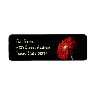 Red Gerber Daisy Rücksendeadresse