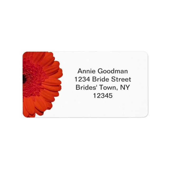 Red Gerber Daisy Wedding RSVP Rücksendeadresse Adressaufkleber (Vorne)