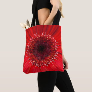 Red Gerbera