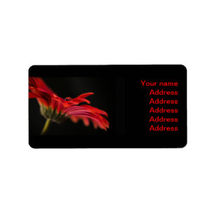 Red Gerbera Blume Wedding Address Labels Adressaufkleber